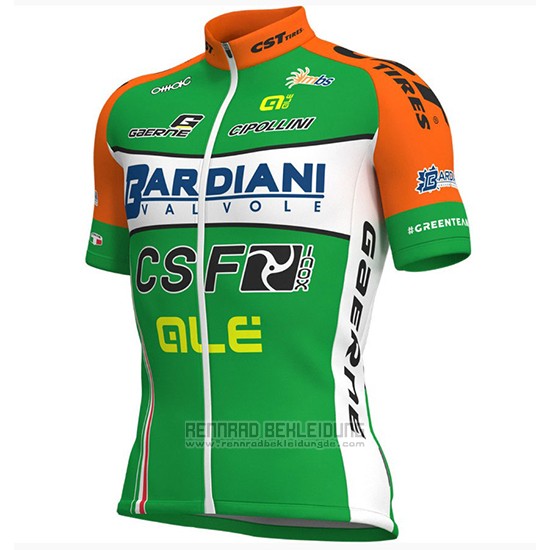 2018 Fahrradbekleidung Bardiani Csf Grun und Wei Trikot Kurzarm und Tragerhose - zum Schließen ins Bild klicken